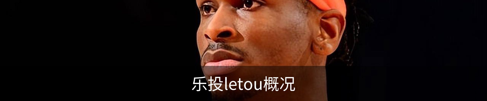 乐投letou概况